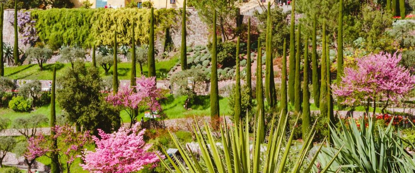 350€ silvester feuerwerk einkaufstour 2015/2016 Törggelen in Südtirol - Reise Italien Trentino